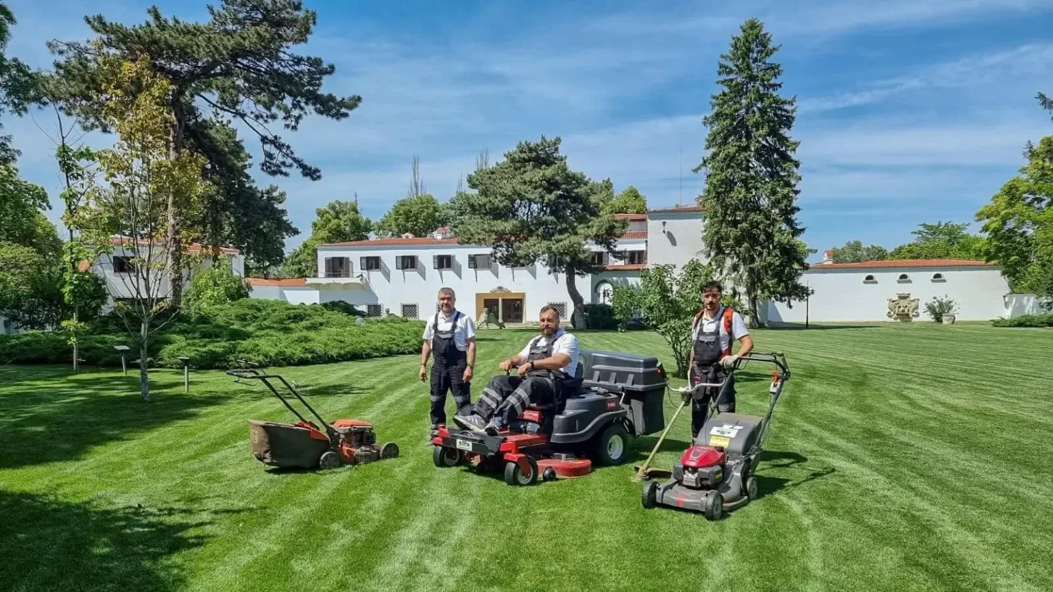 Întreținere Spații Verzi