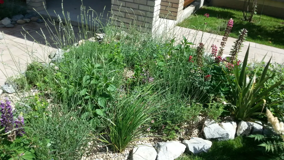 Planting & Horticulture