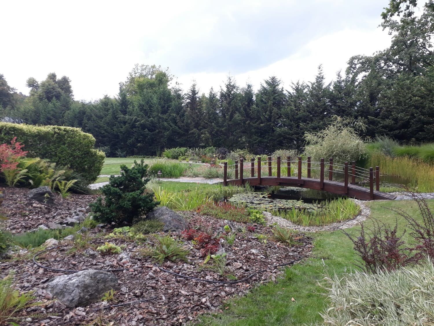 amenajare grădină modernă