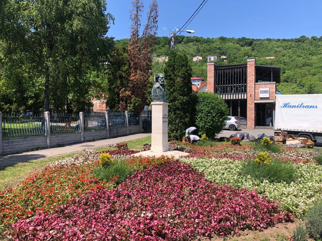 plantare flori de vară la Cluj-Napoca