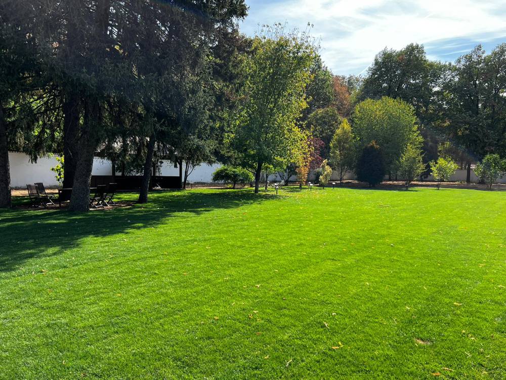 Amenajare peisagistică Palatul Elisabeta