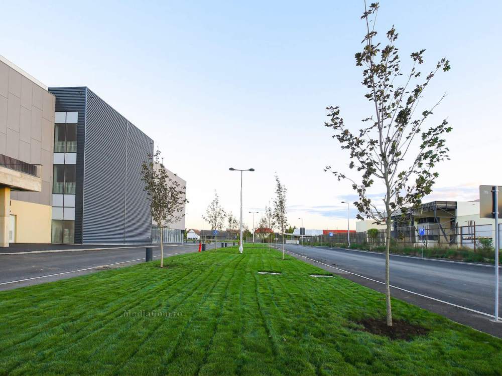 Amenajare peisagistică Turda Arena